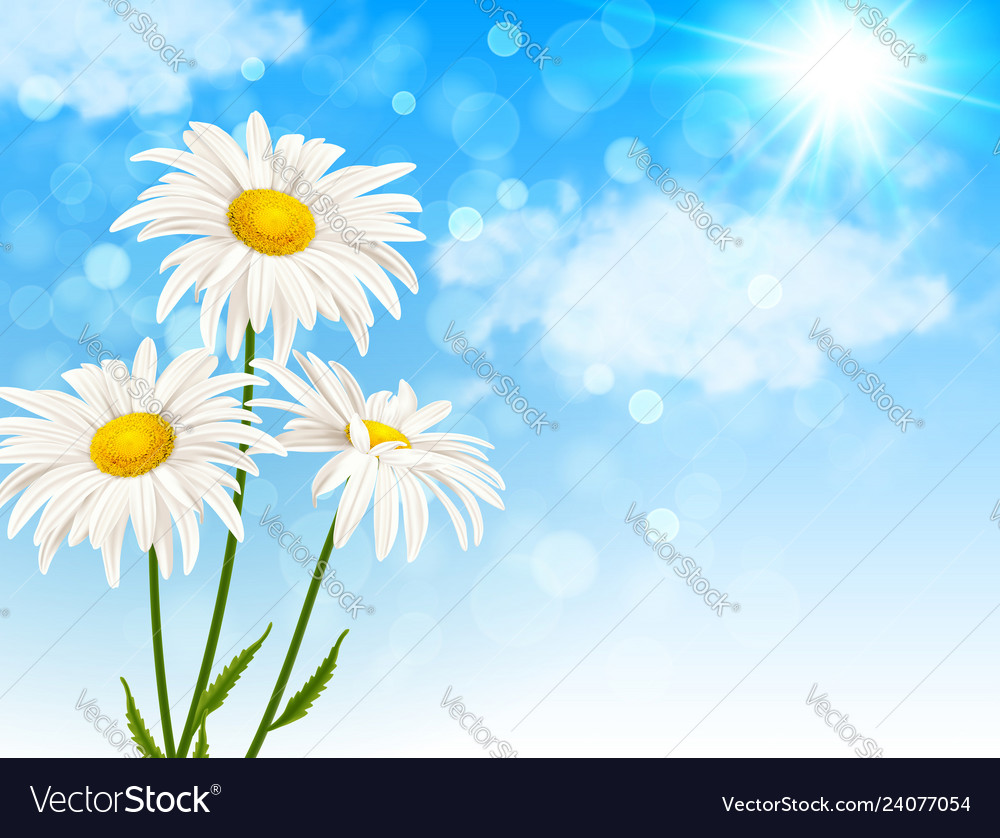 Weiße Blumen und Wolken