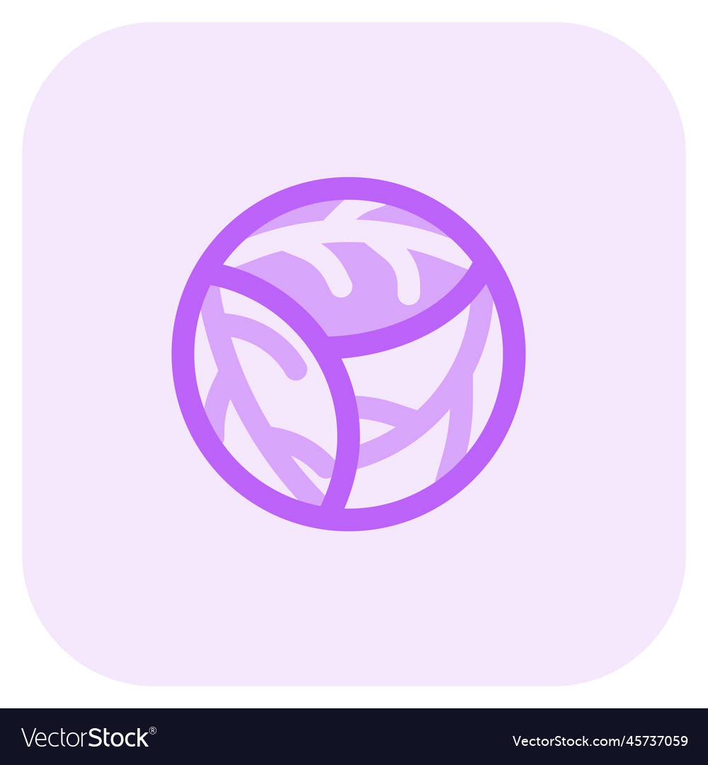 Cabbage Fresh Green Leafy Vegetable Royalty Free Vector Cabbage Fresh Green Leafy Vegetable Royalty Free Vector
