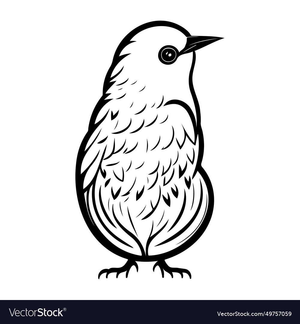 Doodle birds sketch hand draw Royalty Free Vector Image