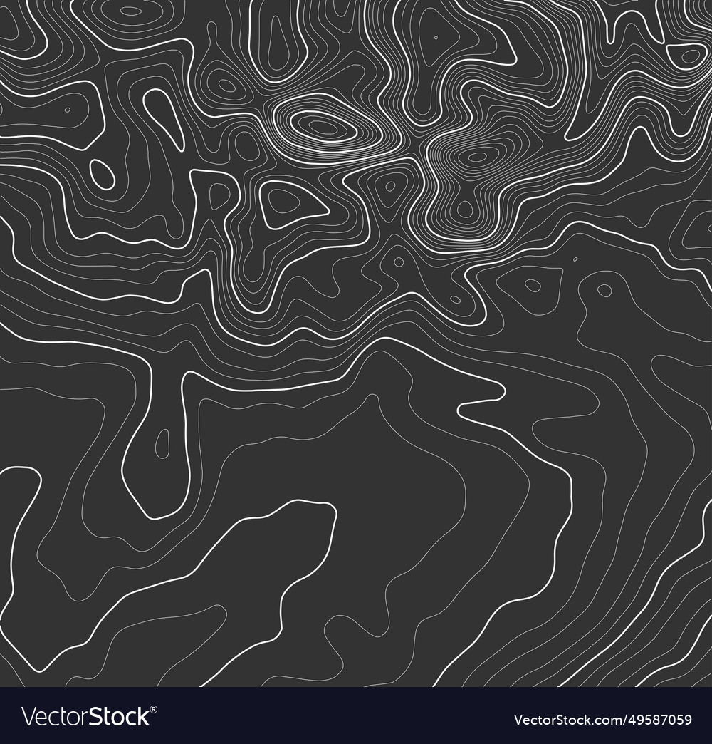 Grey contours topography mountain terrain Vector Image