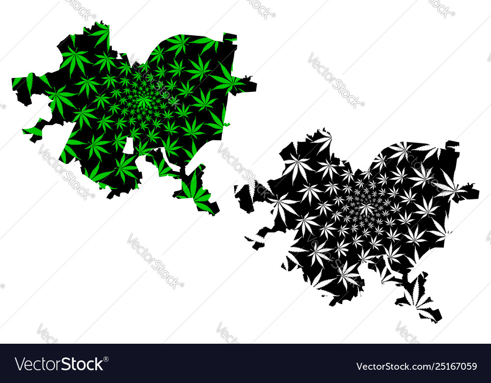 Pittsburgh city - map is designed cannabis leaf