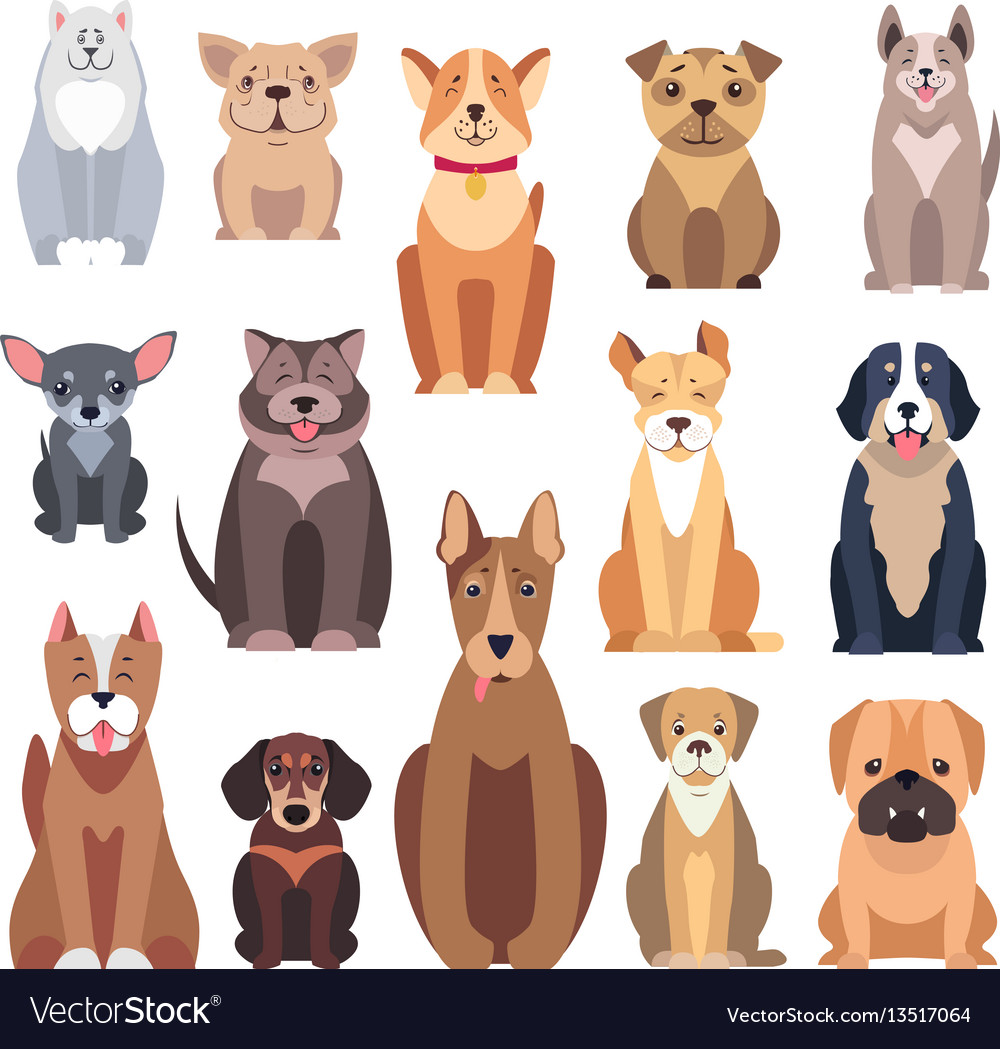 Different kinds dog breeds on white background Vector Image