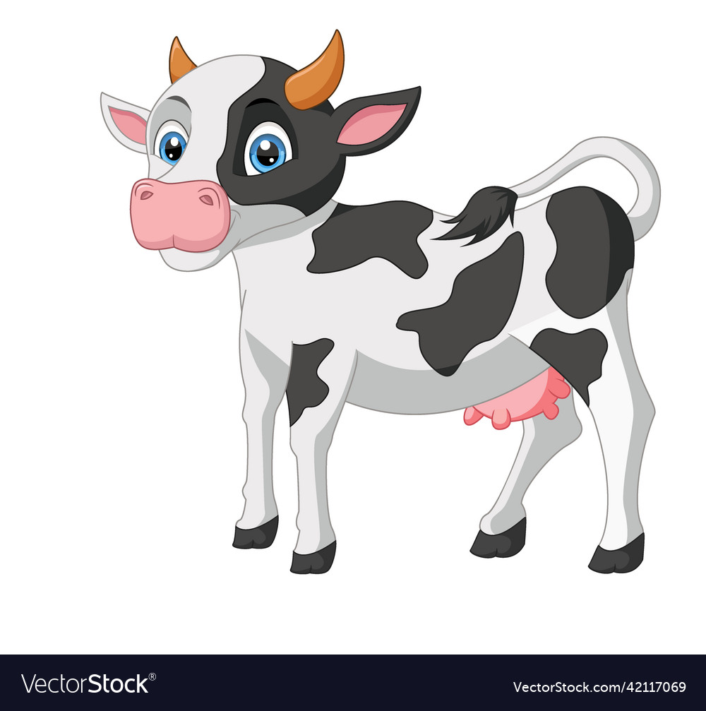 Cute baby cow cartoon on white background Vector Image