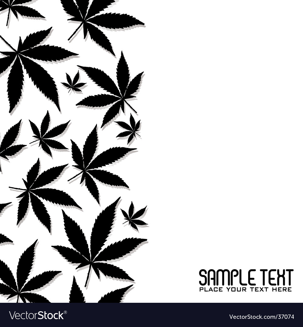 Cannabis Leaf Royalty Free Vector Image Vectorstock