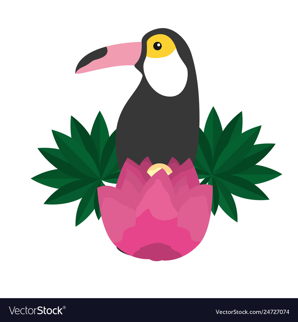 Toucan exotic flower tropical summer