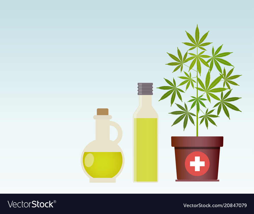 Cannabis Oil & Marijuana Plant