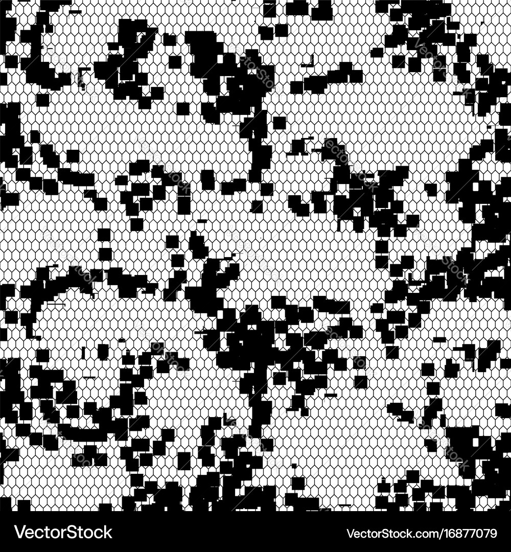 Lace black seamless pattern Royalty Free Vector Image
