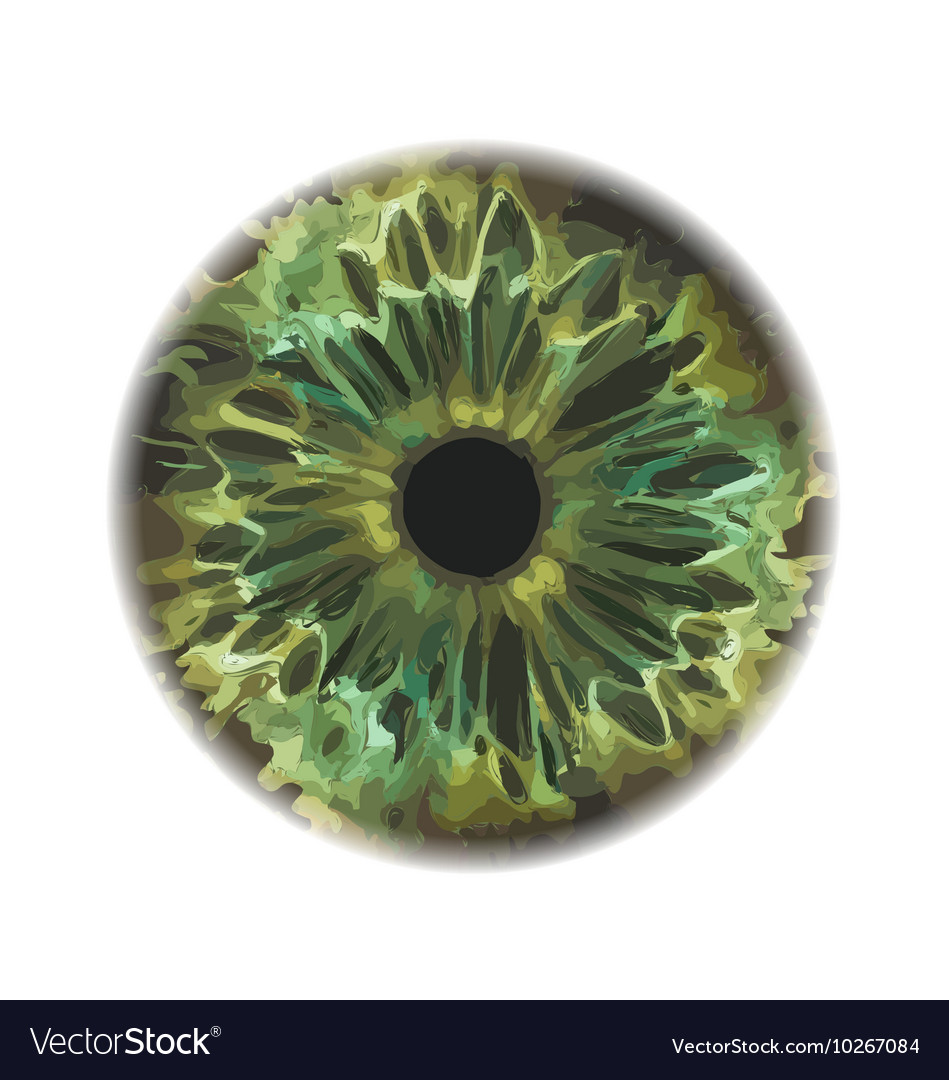 Iris Detail