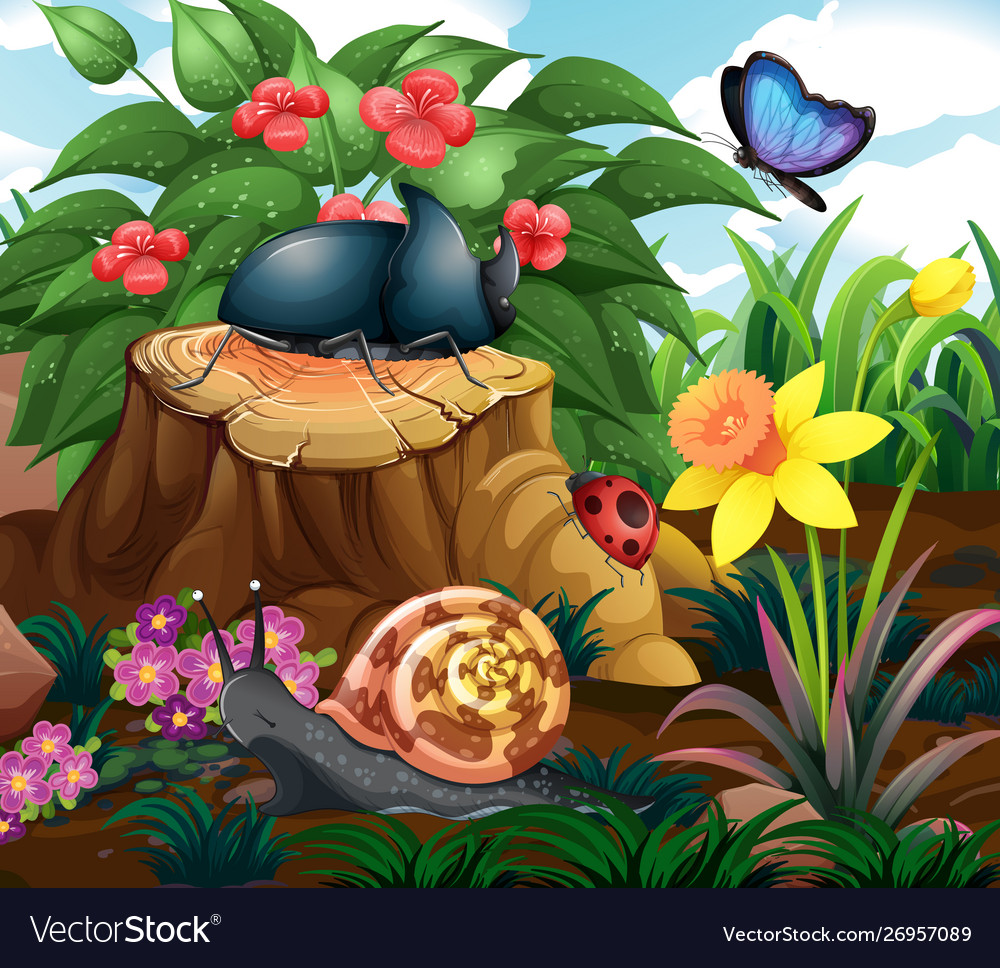 Background scene with insects in garden