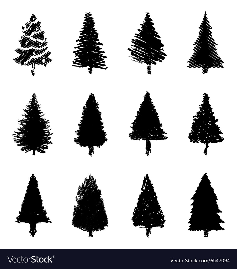 Download Abstract pine trees silhouette Royalty Free Vector Image