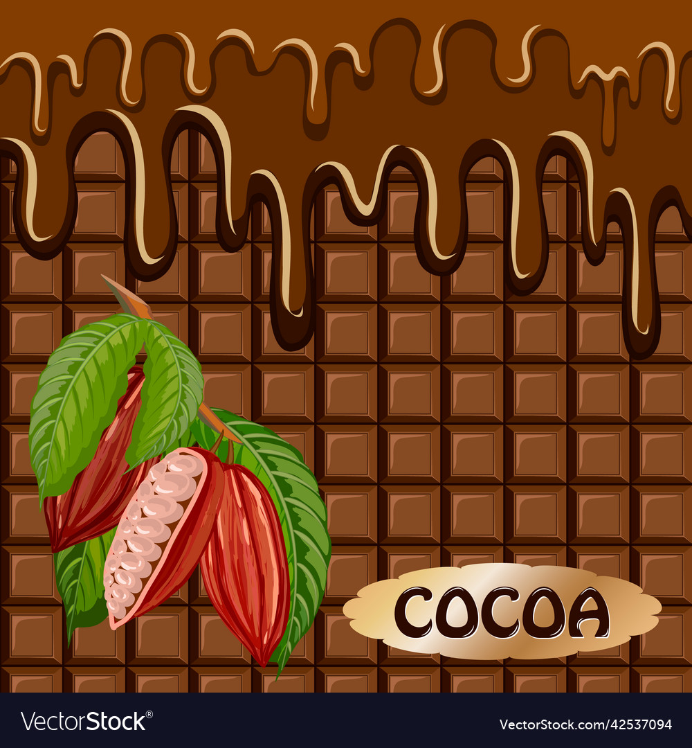 Chocolate background with cocoa vector image Chocolate background with cocoa
