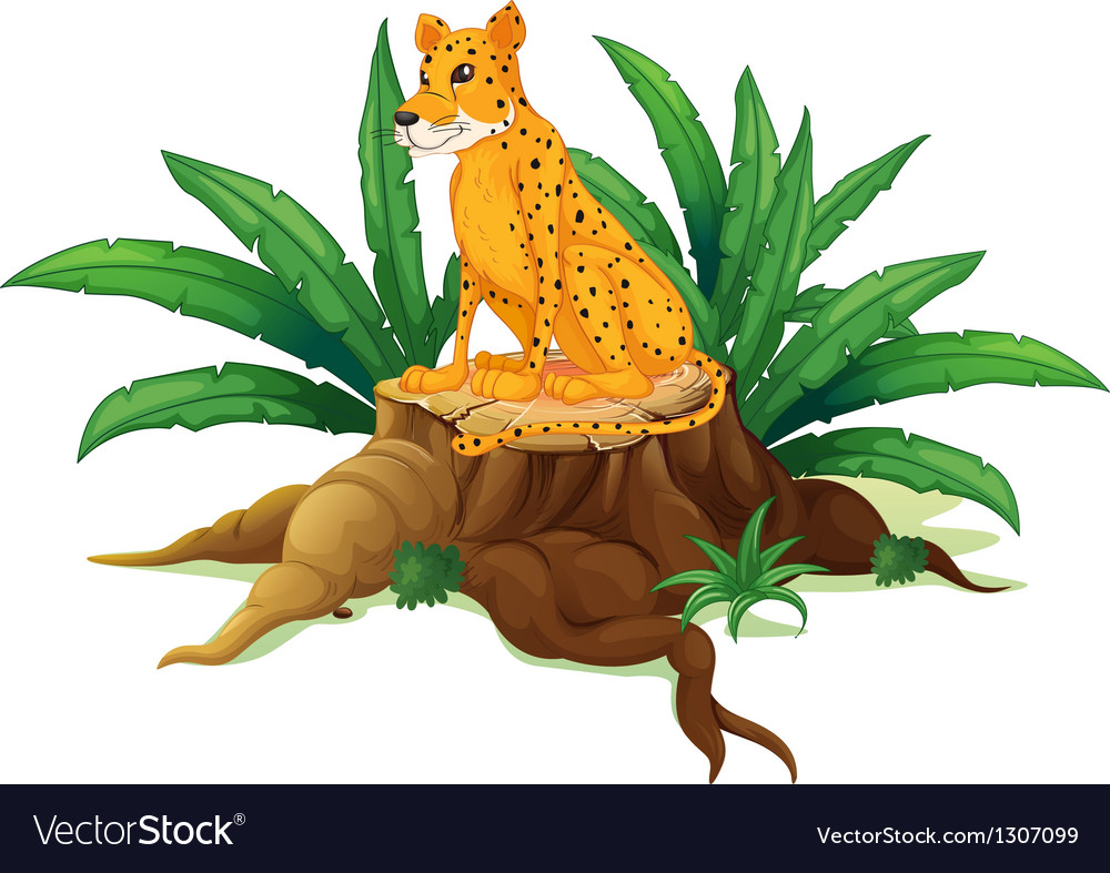 A trunk with a cheetah Royalty Free Vector Image