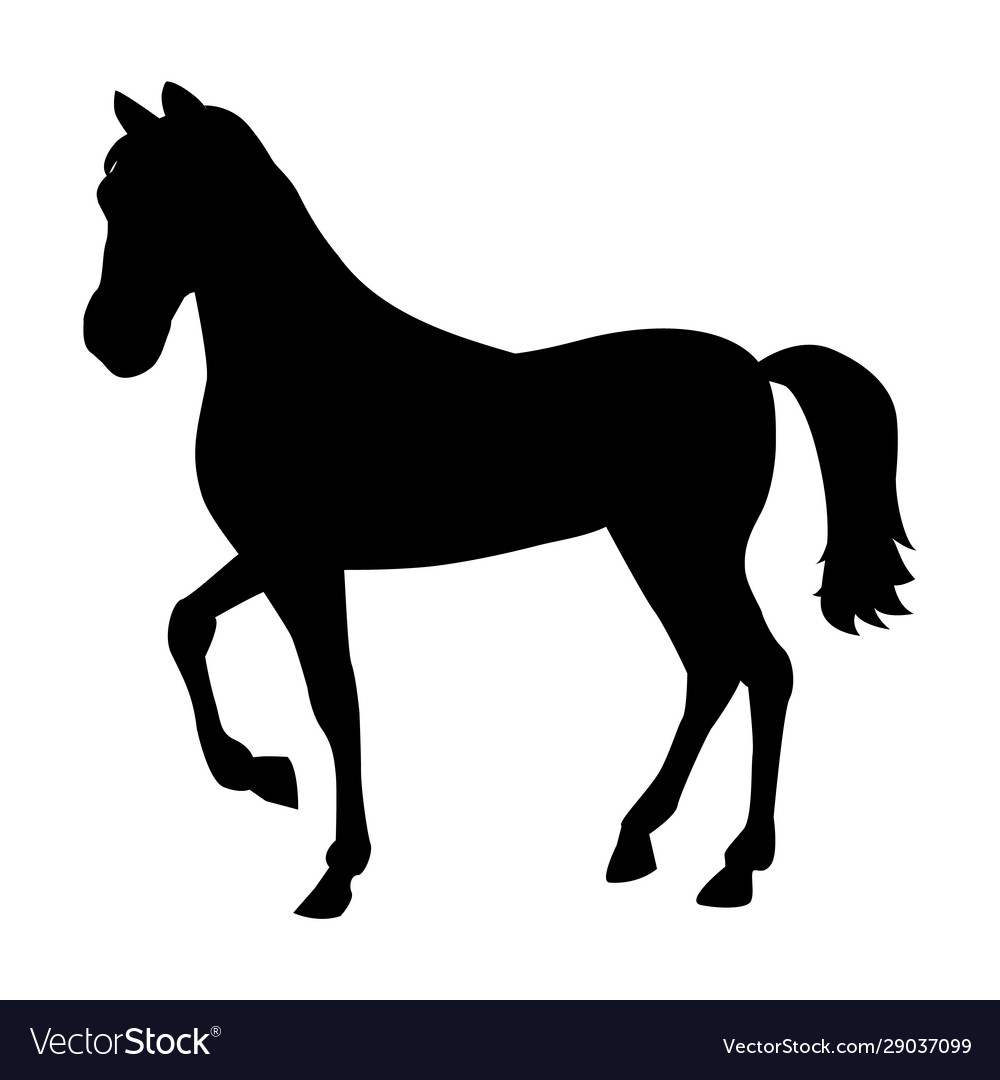 Black silhouette of horse isolated on white