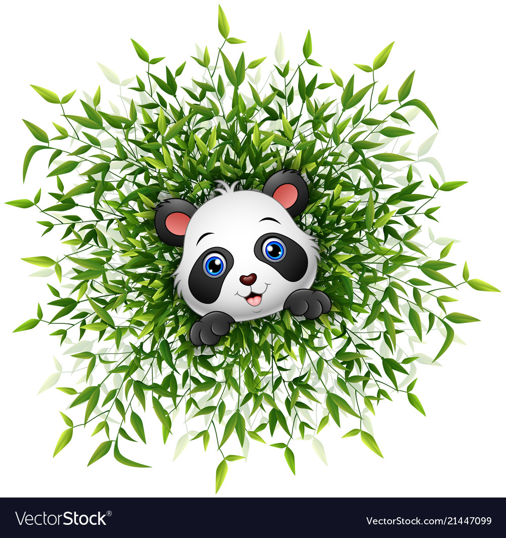 Cute baby panda smiling with lots of bamboo leaf i