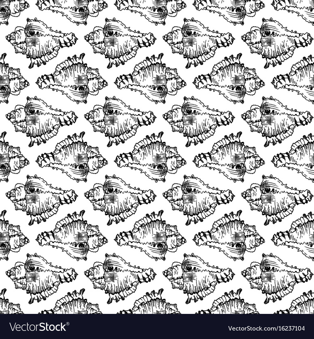 Seamless sketch seashell template background