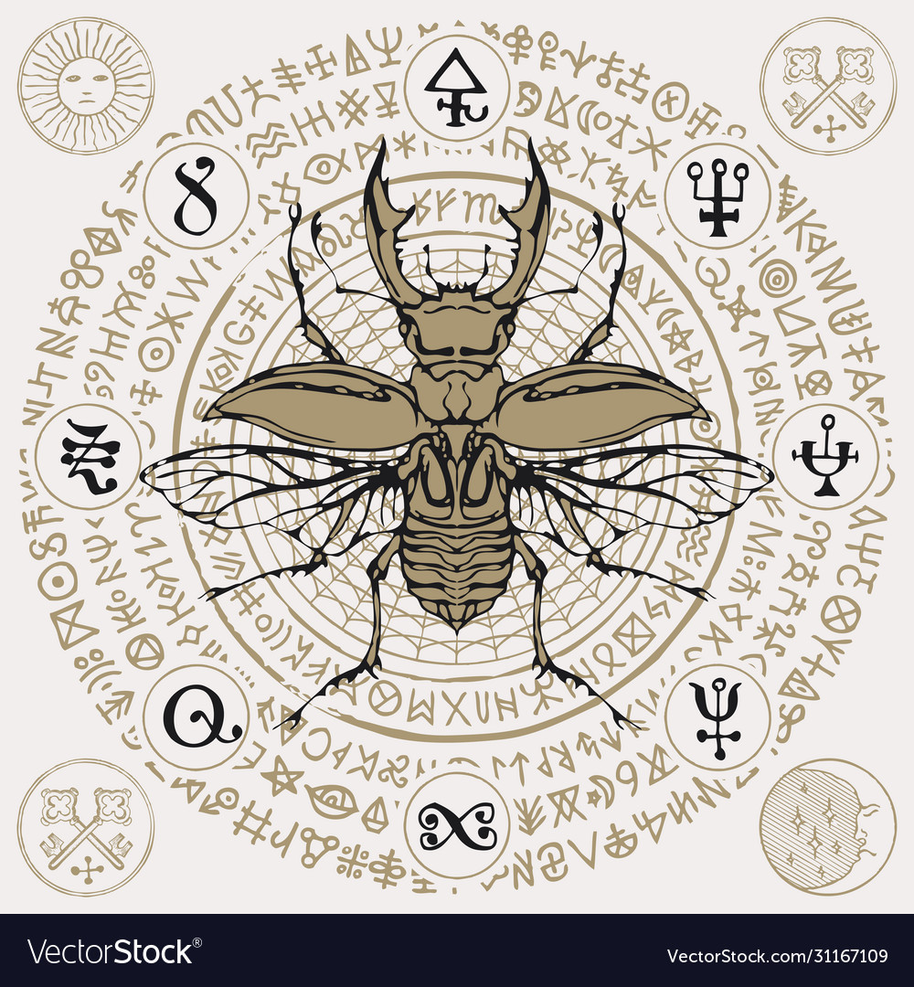 Banner with a hand drawn stag-beetle Royalty Free Vector