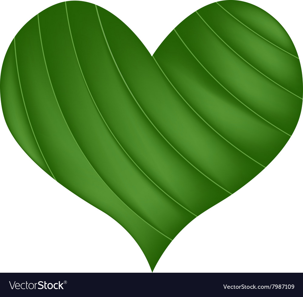 Green banana leaf in a beautiful heart