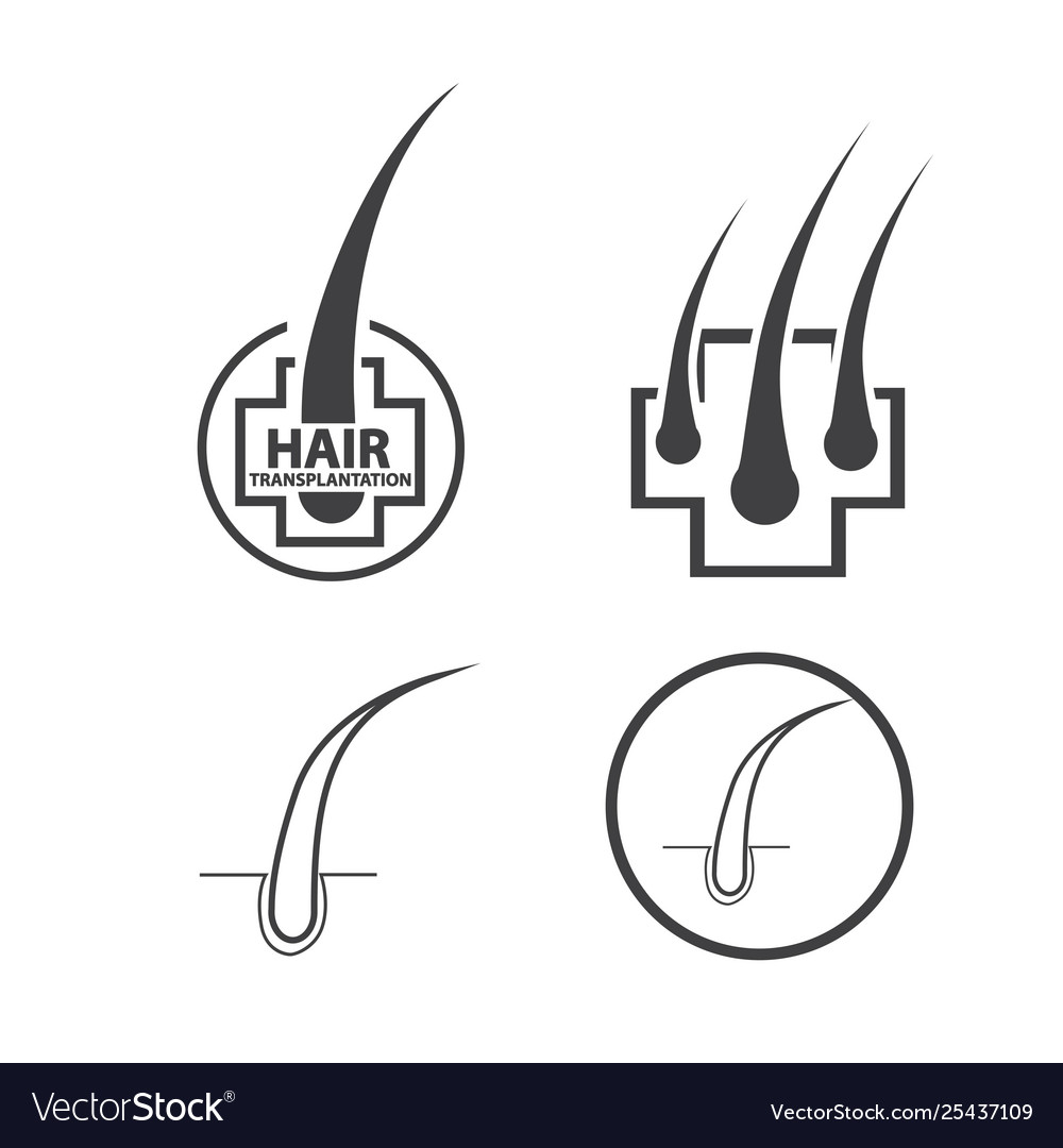 Hair follicle treatment design vector image Hair follicle treatment design