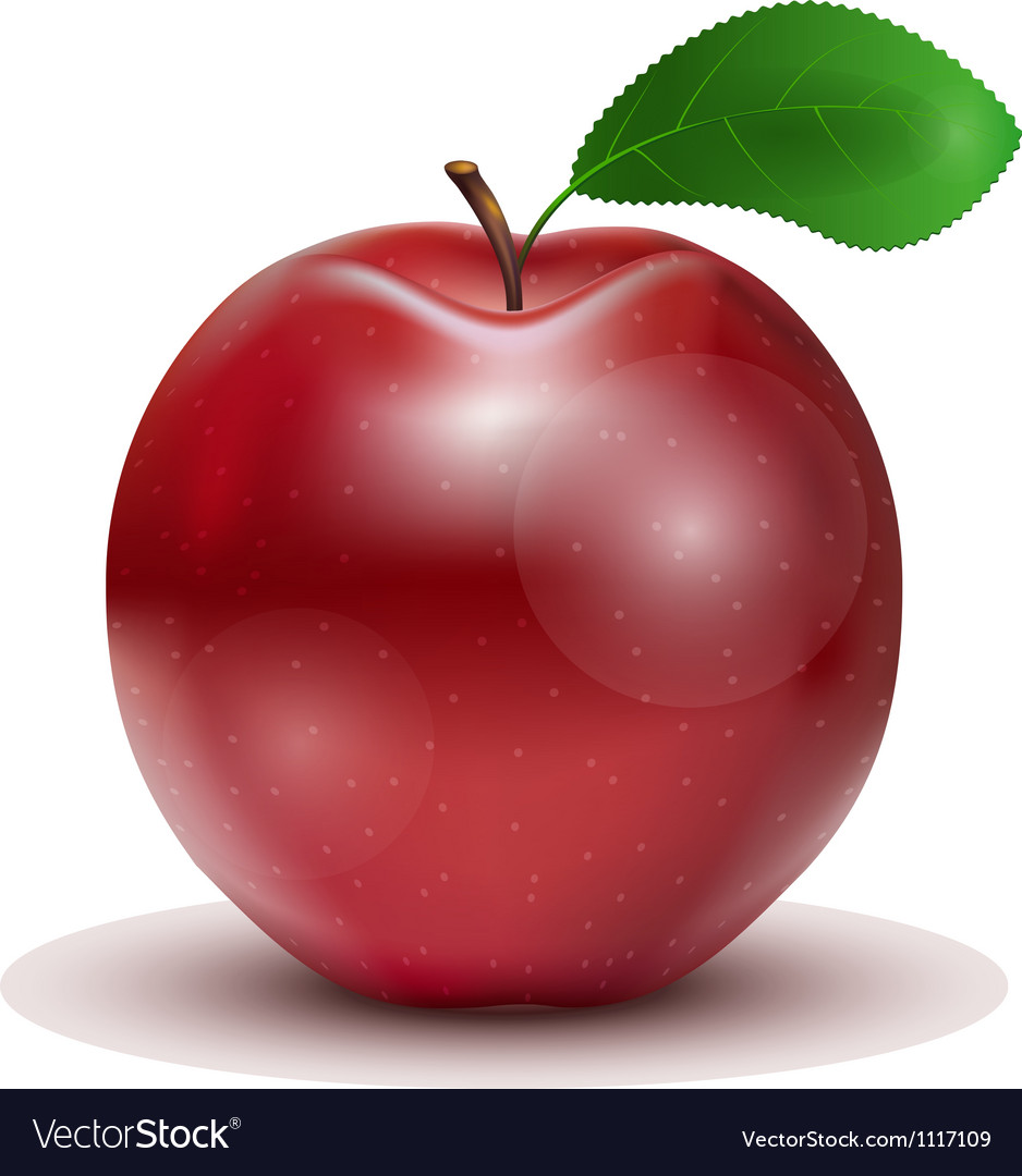 Red apple with leaf Royalty Free Vector Image - VectorStock