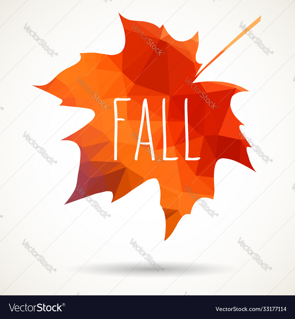 Fall triangular maple leaf
