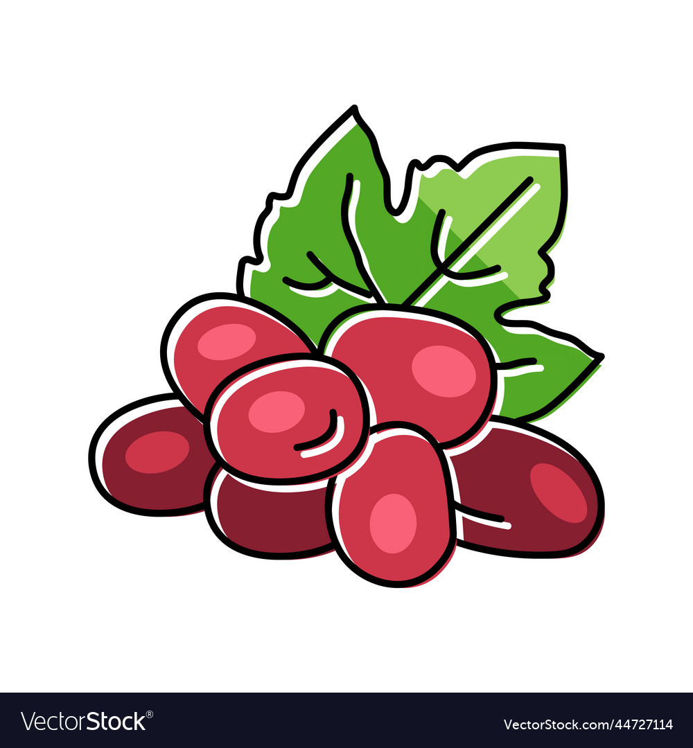 Red grape wine color icon