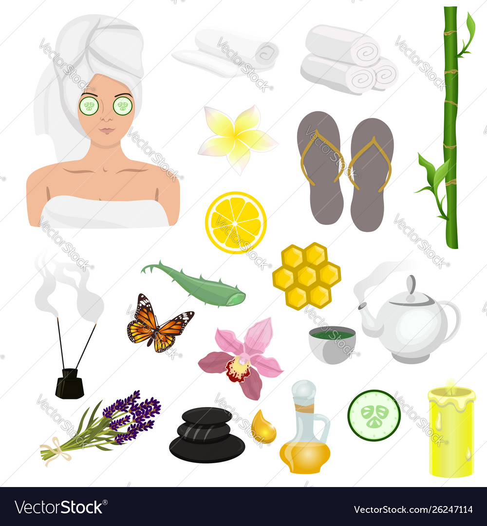 Spa icons set design elements Vector Image Spa icons set design elements
