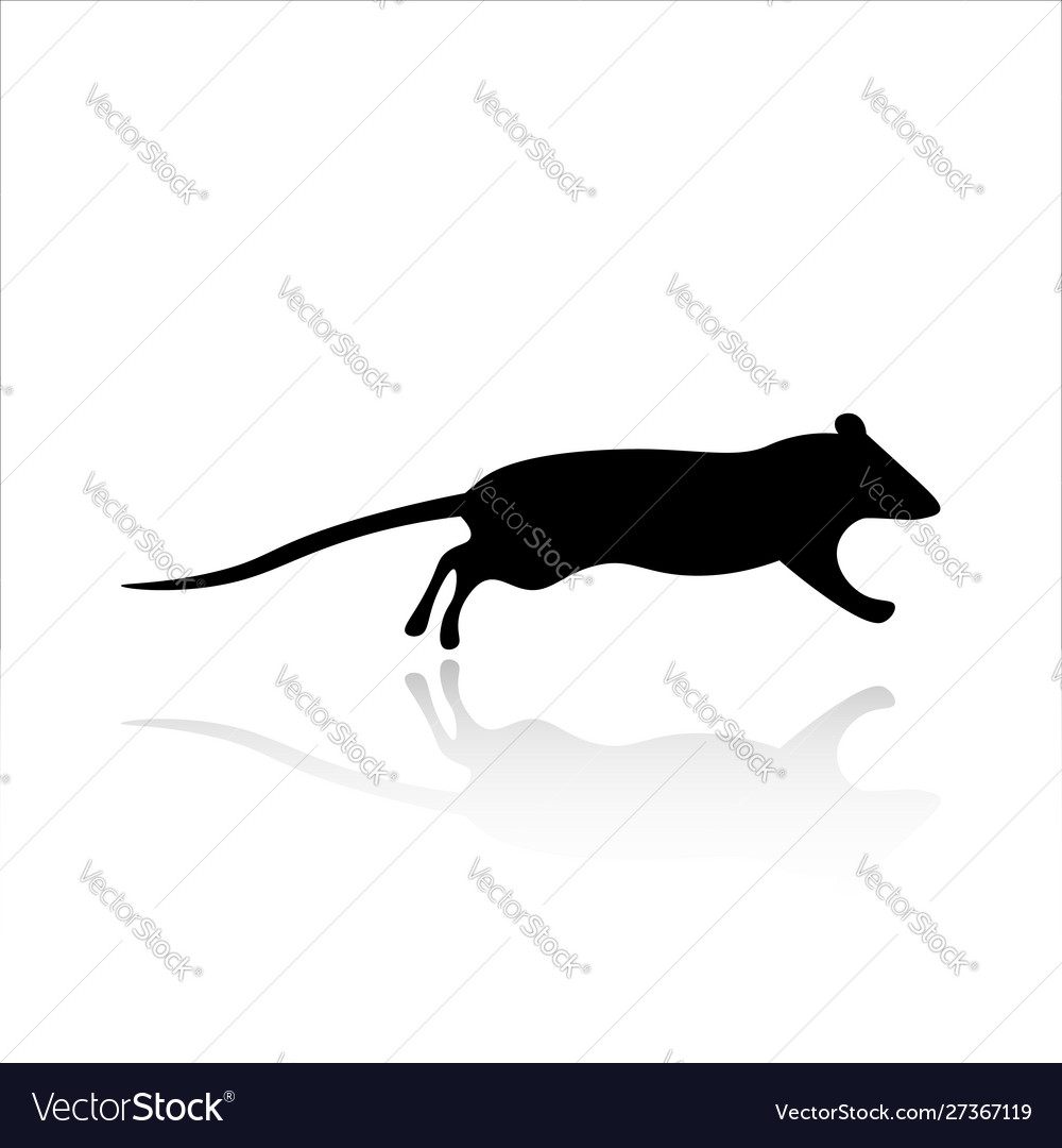 Rat icon design