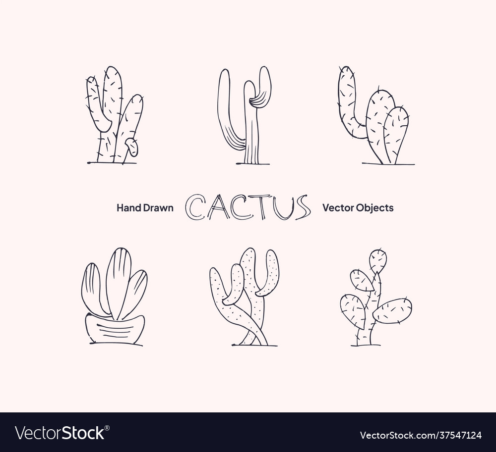 Hand drawn cactus objects collection