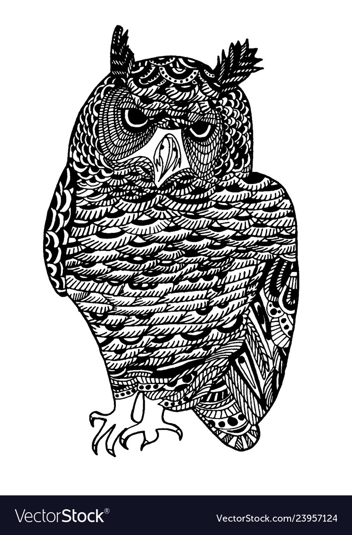 Hand drawn sketch of owl bird