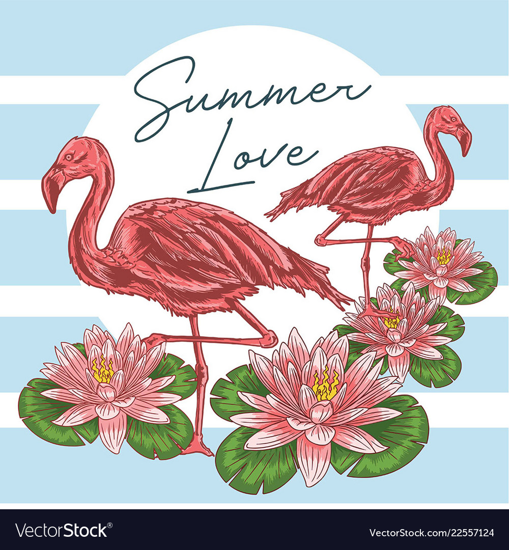 Summer flaminggo vector image Summer flaminggo