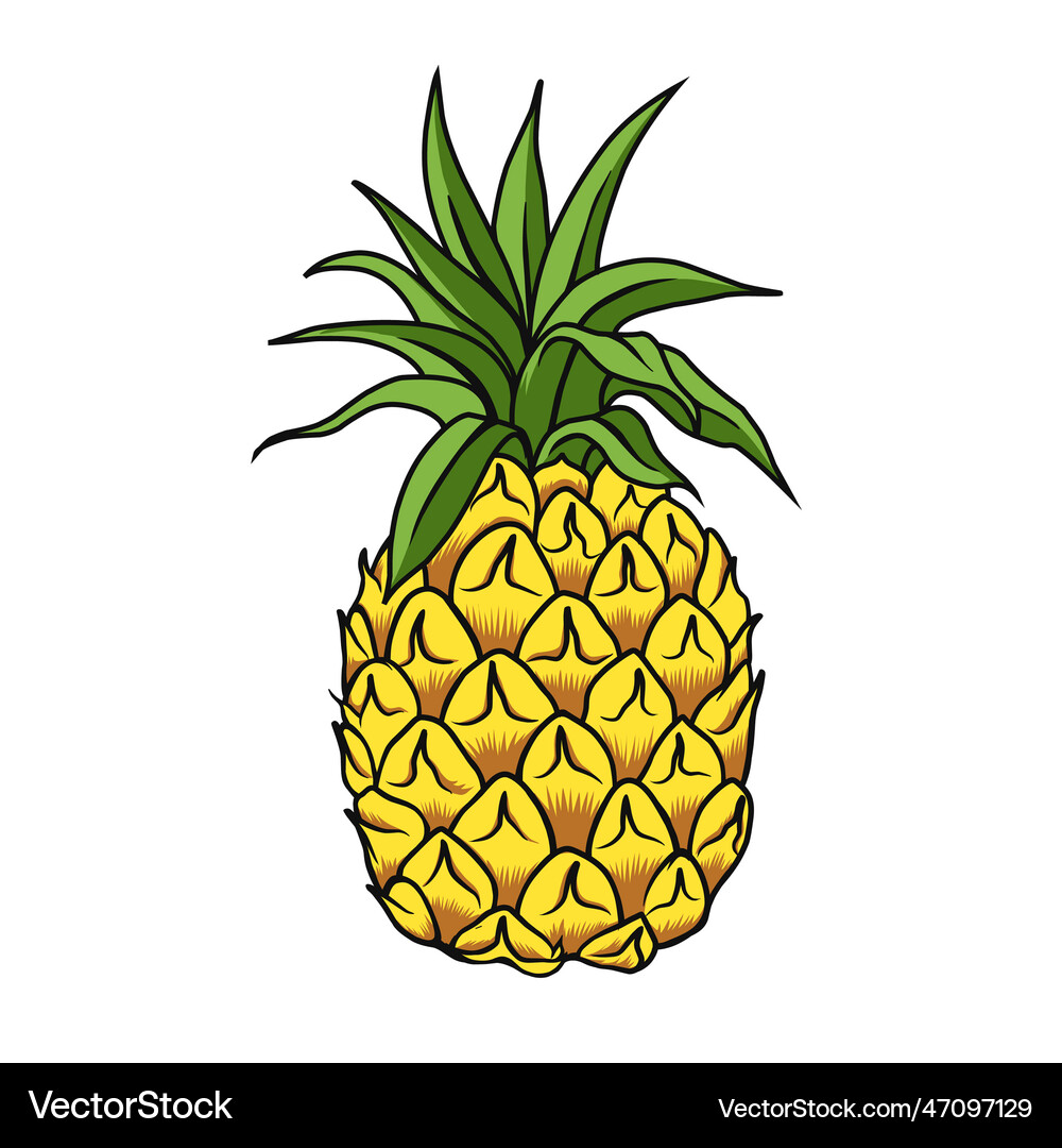 Pineapple Royalty Free Vector Image - VectorStock