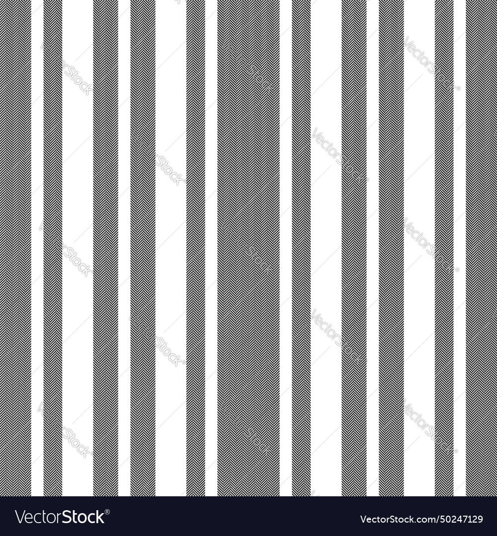 Vertical lines stripe pattern stripes background vector image Vertical lines stripe pattern stripes background