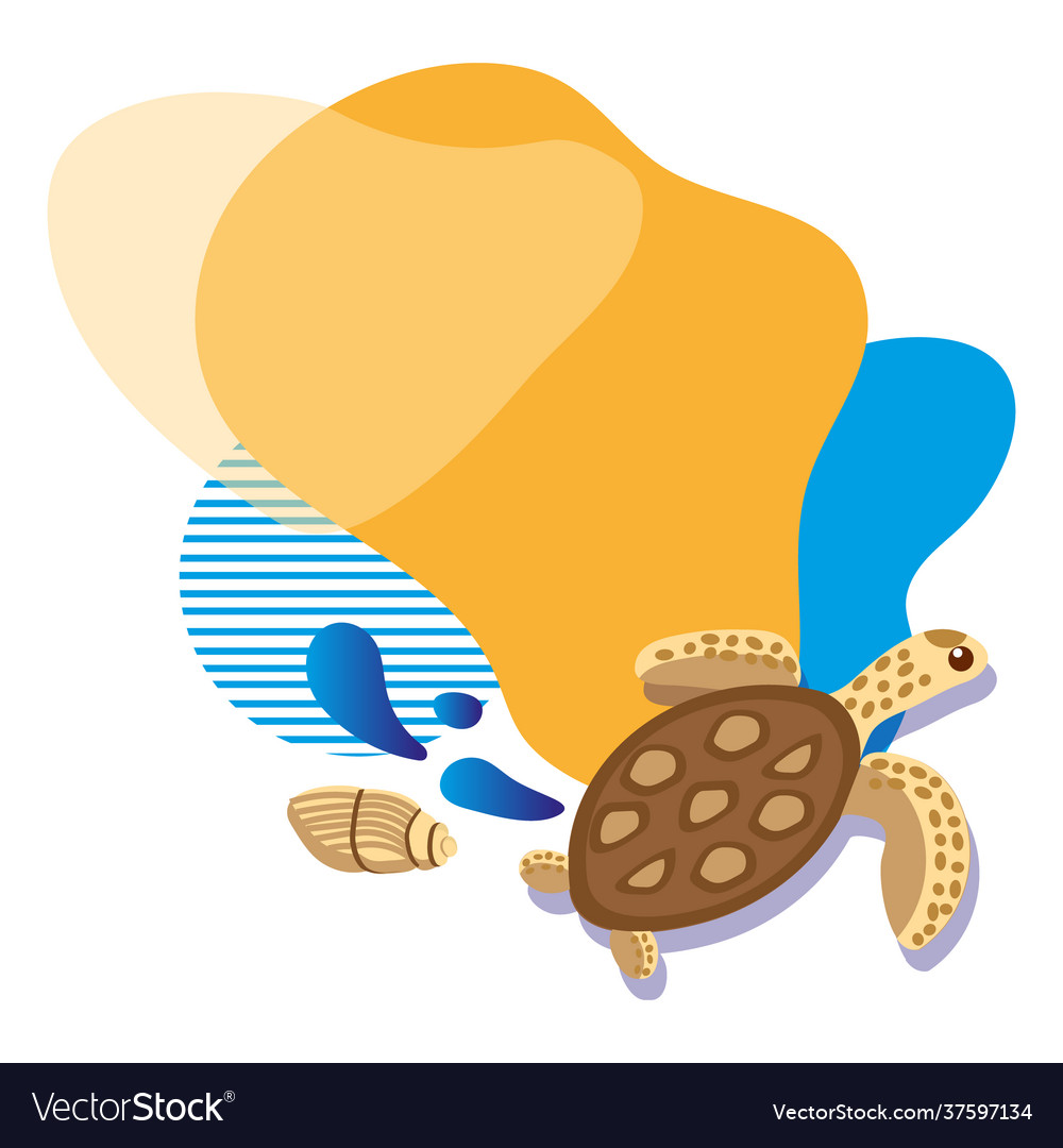 Turtle and shell pattern on white background vector image Turtle and shell pattern on white background