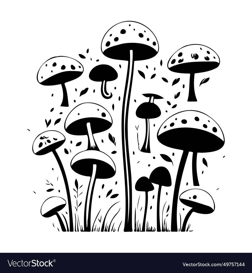 Doodle mushroom sketch hand draw Royalty Free Vector Image