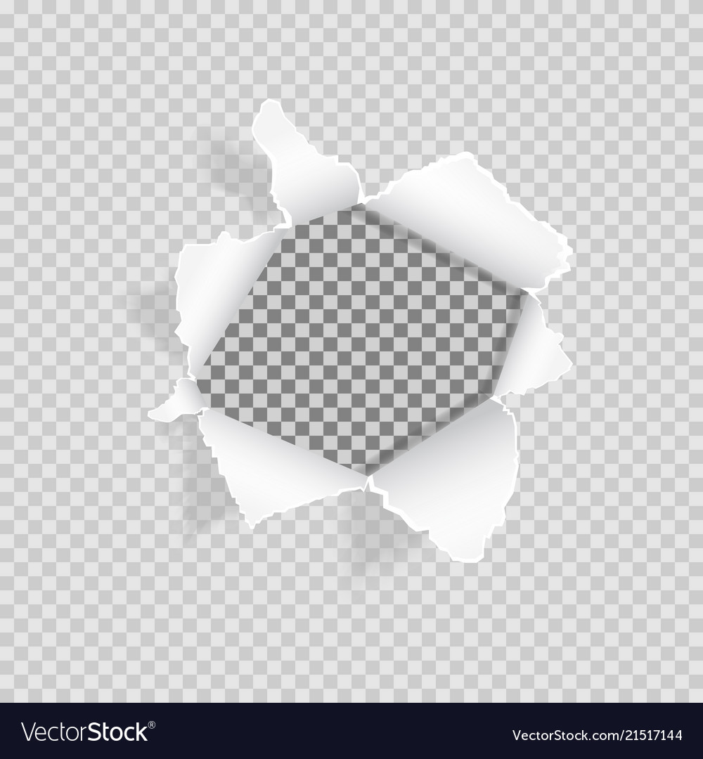 Torn Paper On Transparent Background Realistic Vector Image