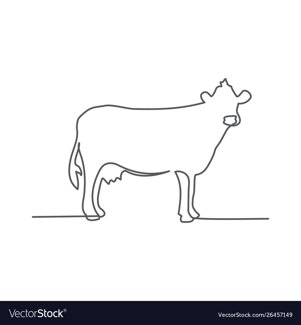 Cow one line drawing on white background Vector Image