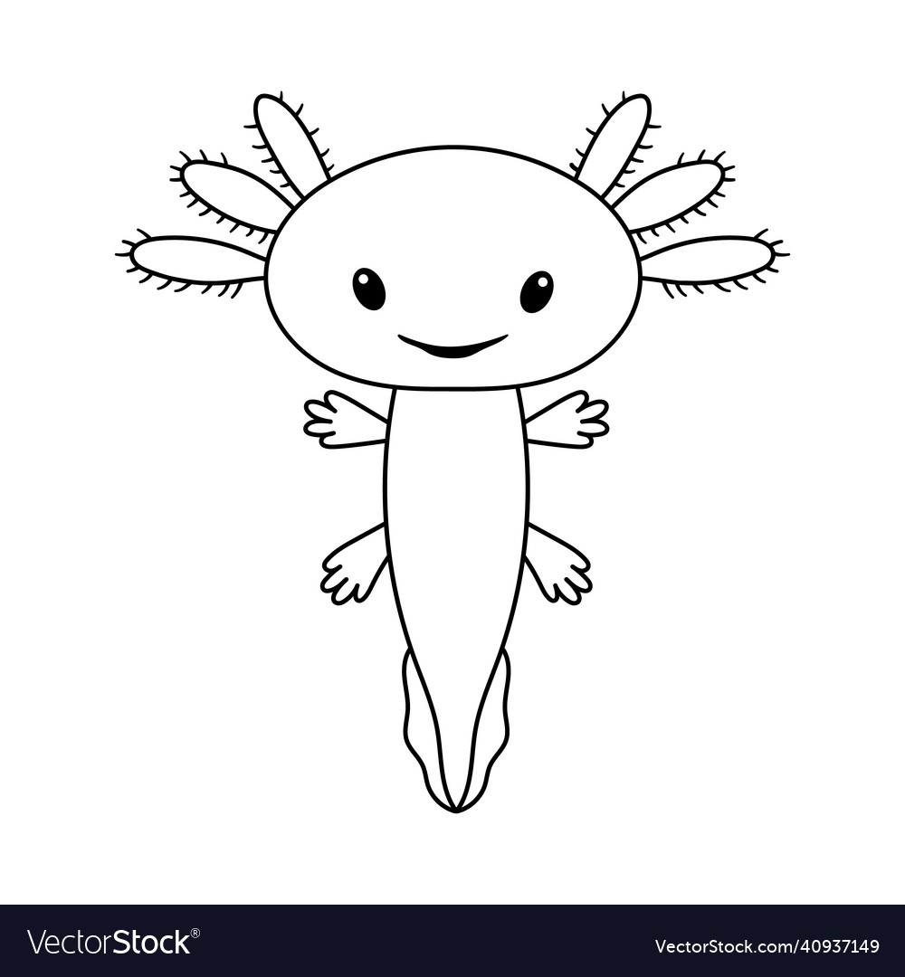 Cute Stylized Axolotl Royalty Free Vector Image 0716