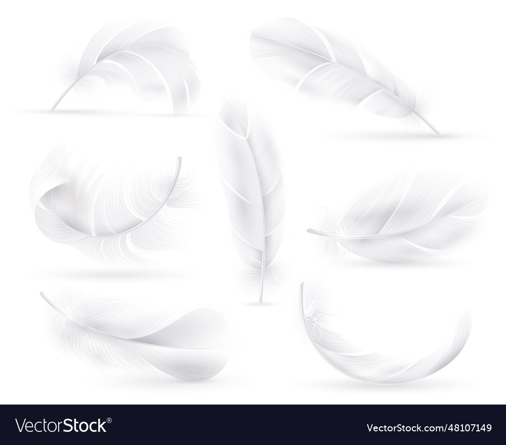 Realistic white feathers falling fluffy twirled Vector Image