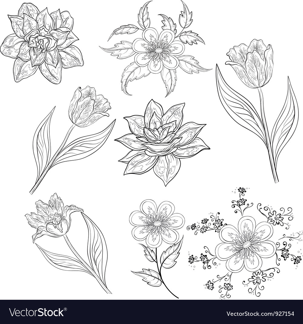 Download Flowers set outline Royalty Free Vector Image - VectorStock