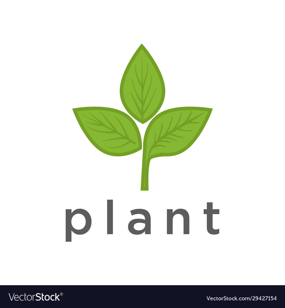 Minimalist plant logo Royalty Free Vector Image