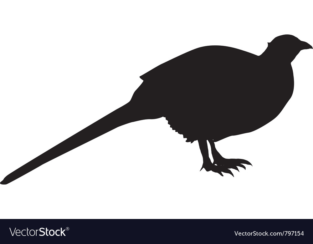 Pheasant Silhouette
