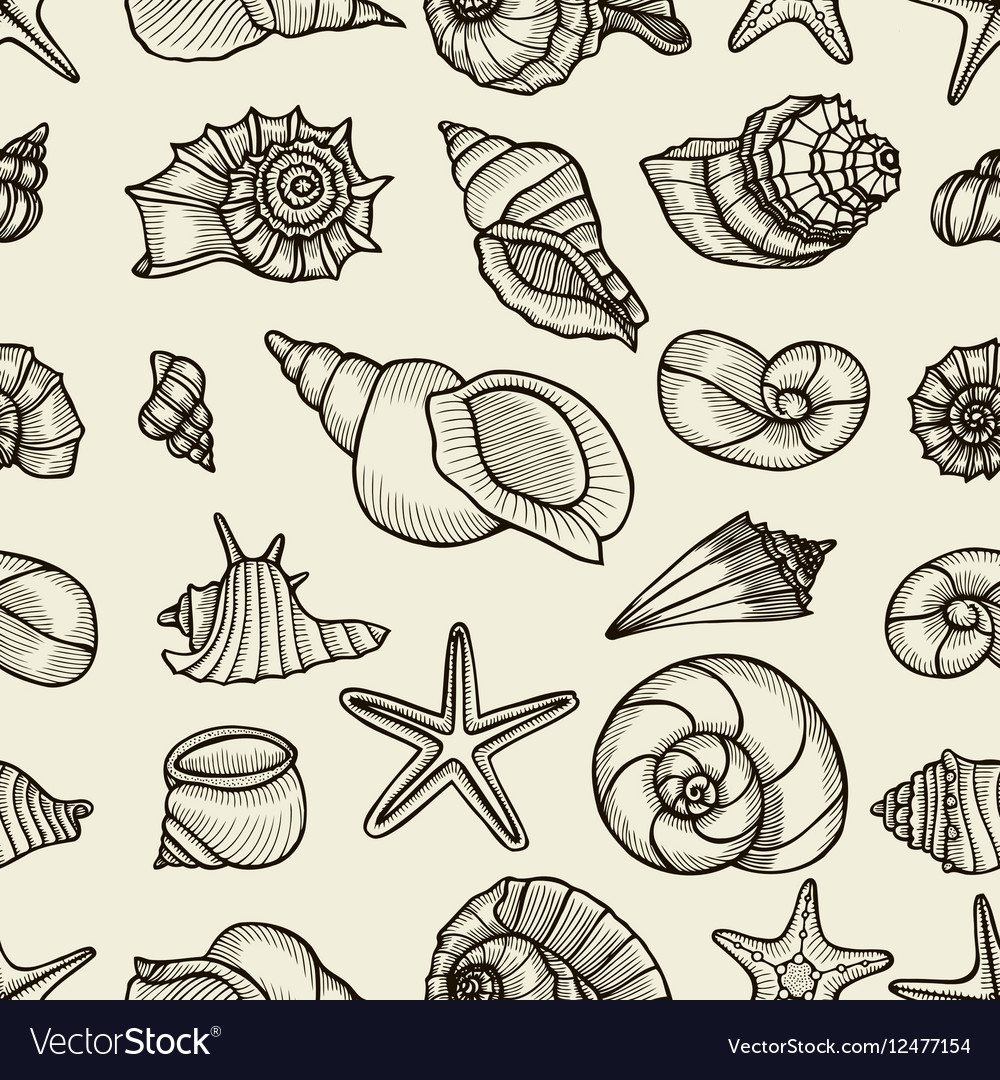 Seashell seamless pattern