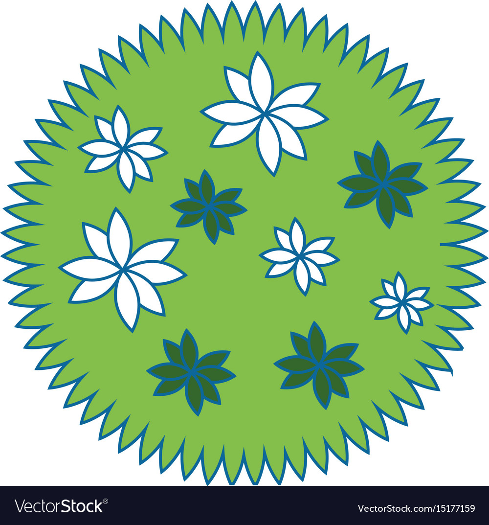 Beautiful flower gardening Royalty Free Vector Image