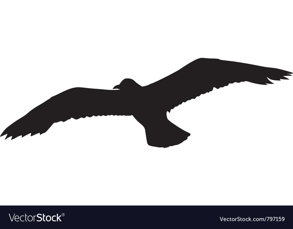 Silhouette of a Bird