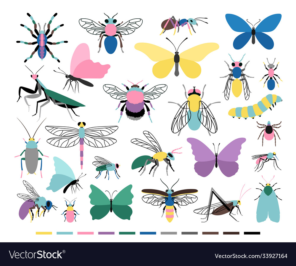 Charming Insect Collection