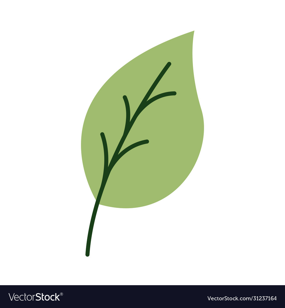 Leaf plant organic flat style icon Royalty Free Vector Image