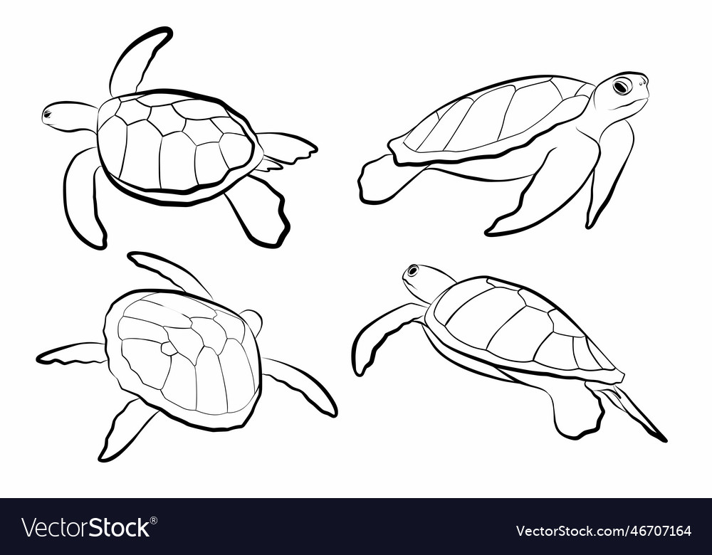 Set elements of tropical fish Royalty Free Vector Image