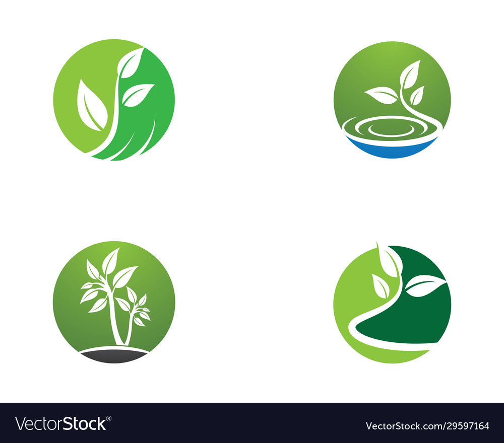 Tree leaf symbol icon Royalty Free Vector Image