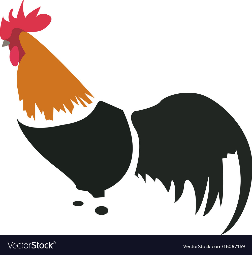 Isolated abstract chicken