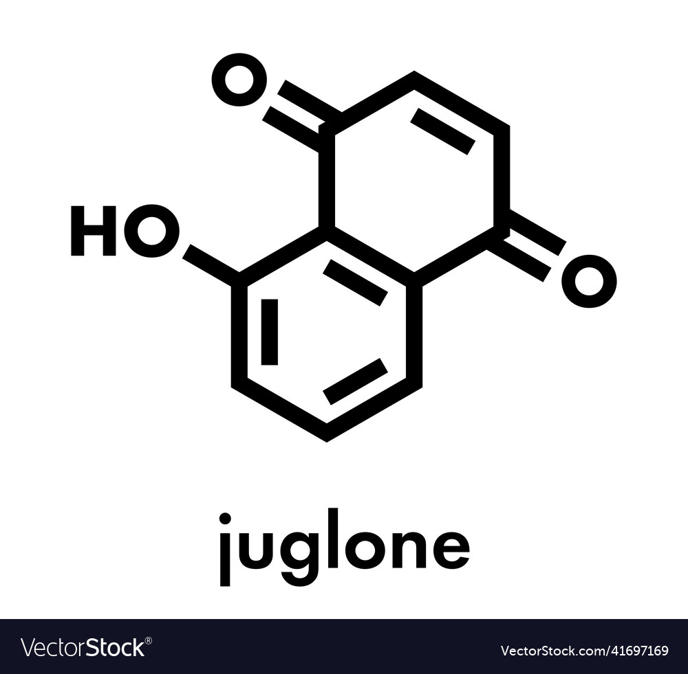 Juglone walnut molecule skeletal formula Vector Image